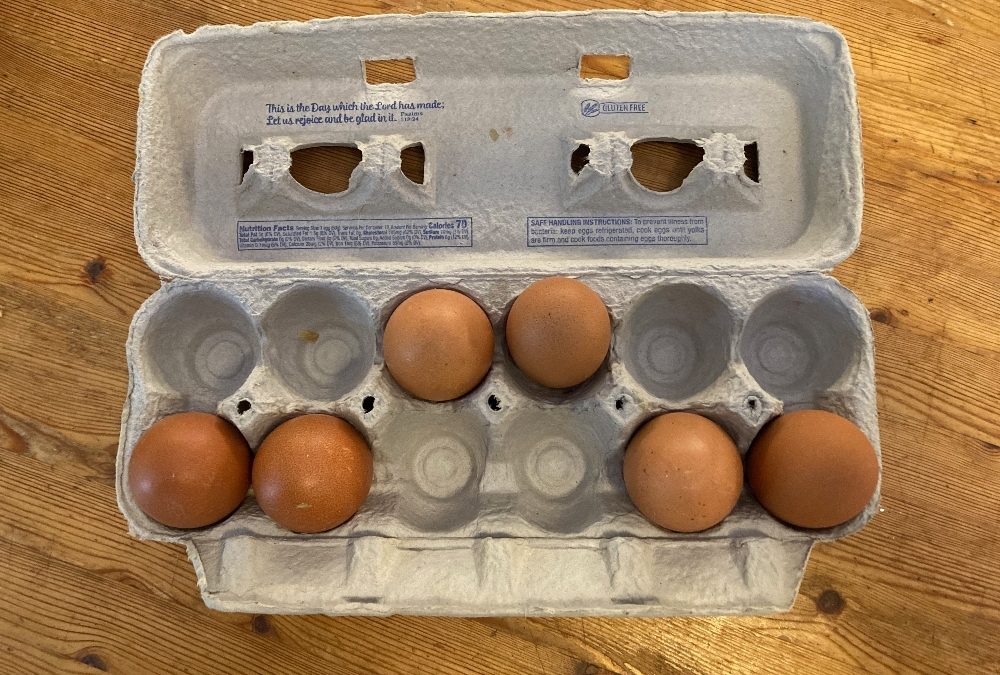 Eggs = Saving Democracy?